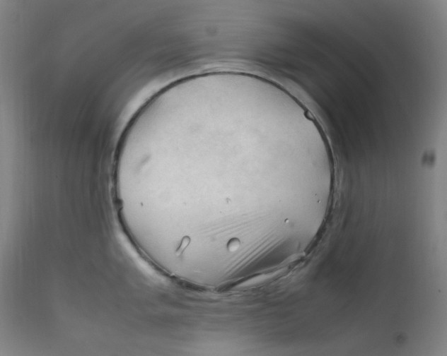 X0000112211005200909041336