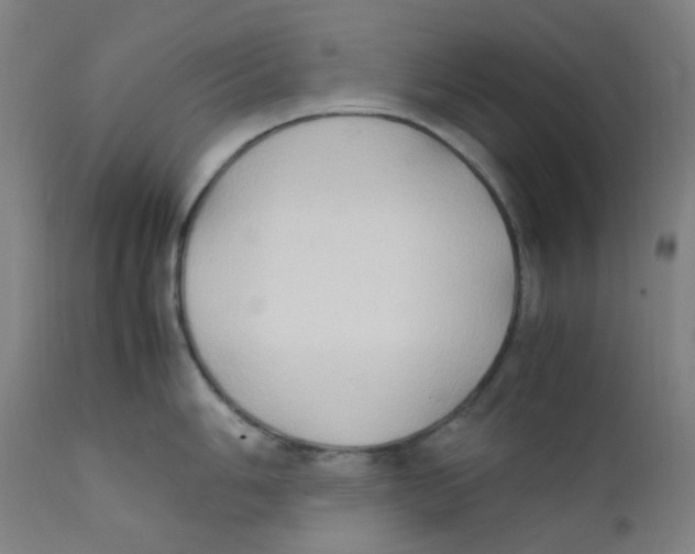 X0000112211006200909041336