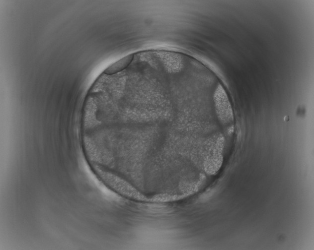 X0000112211007200909041336