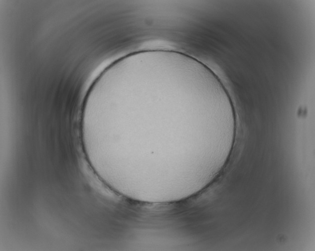 X0000112211008200909041336