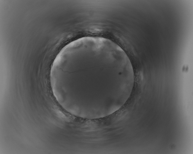 X0000112211009200909041336