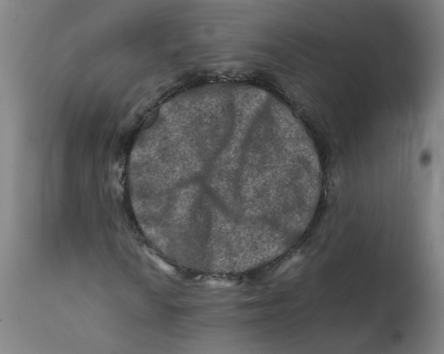 X0000112211010200909041336
