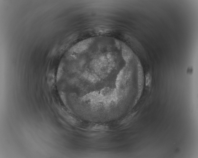 X0000112211011200909041336
