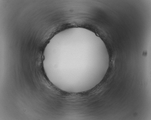 X0000112211012200909041336