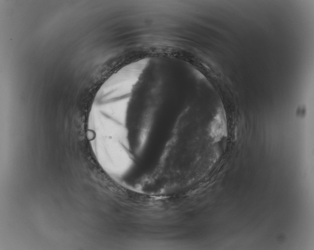 X0000112211013200909041336