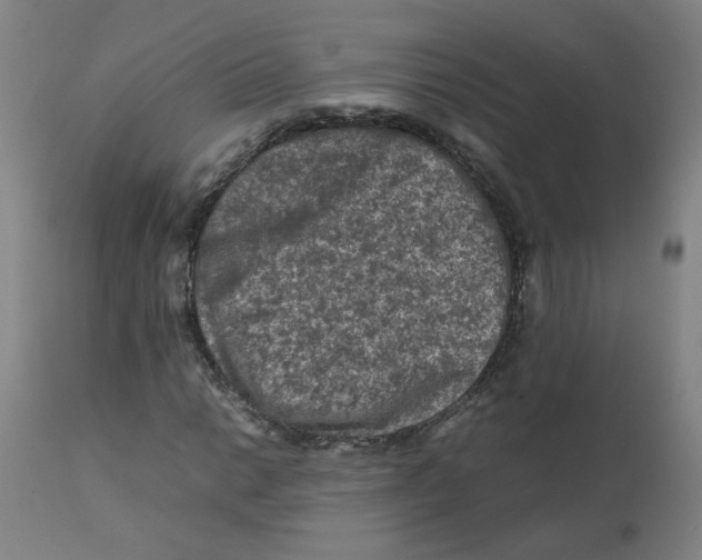 X0000112211014200909041336