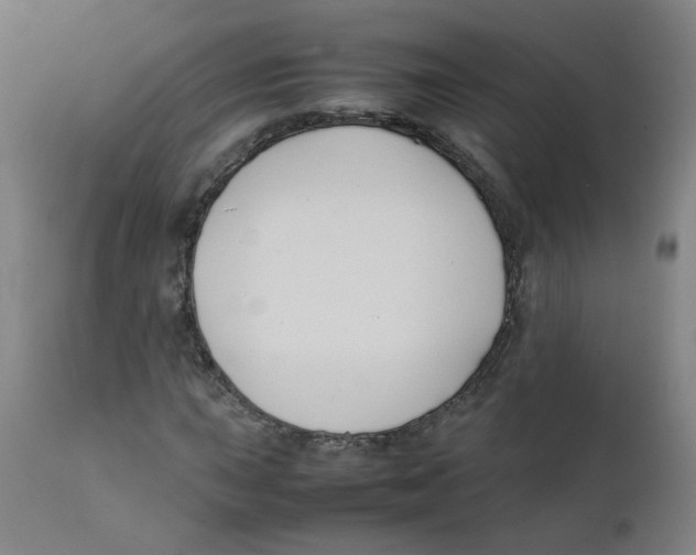 X0000112211015200909041336
