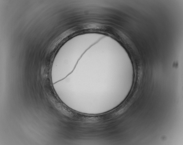 X0000112211017200909041336