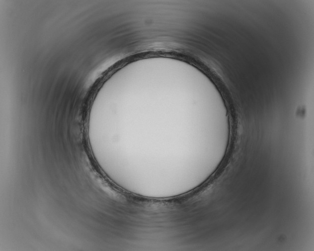 X0000112211018200909041336