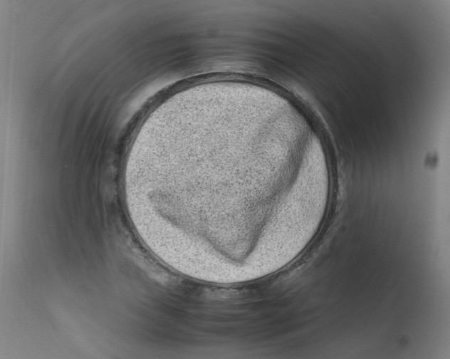 X0000112211019200909041336