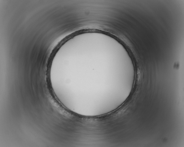 X0000112211020200909041336