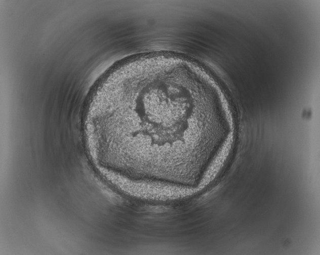 X0000112211023200909041336