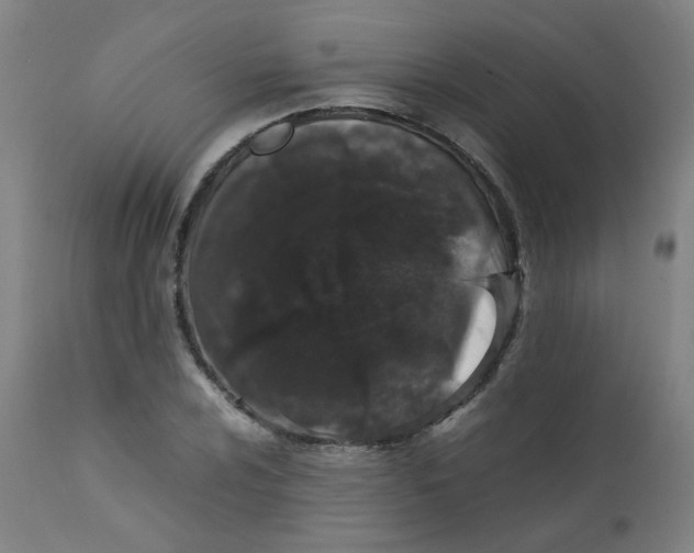 X0000112211024200909041336