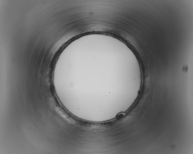 X0000112211026200909041336