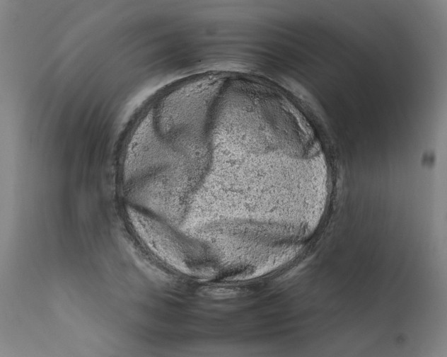 X0000112211027200909041336