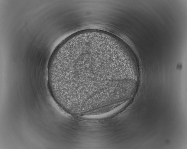 X0000112211028200909041336