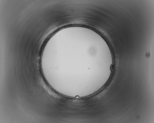 X0000112211029200909041336
