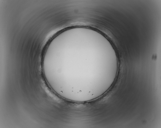 X0000112211030200909041336