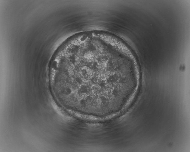 X0000112211031200909041336