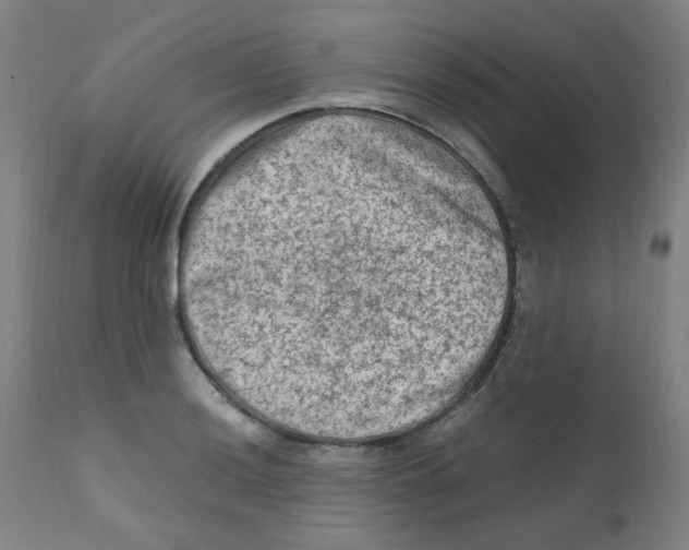 X0000112211036200909041336
