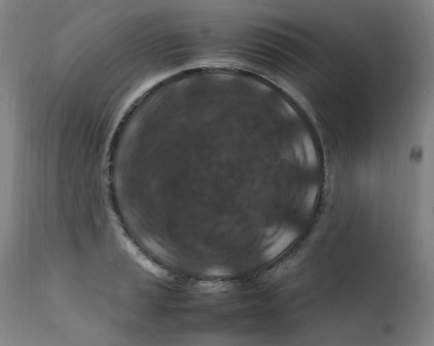 X0000112211037200909041336