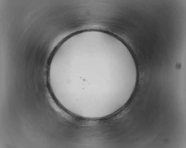 X0000112211038200909041336
