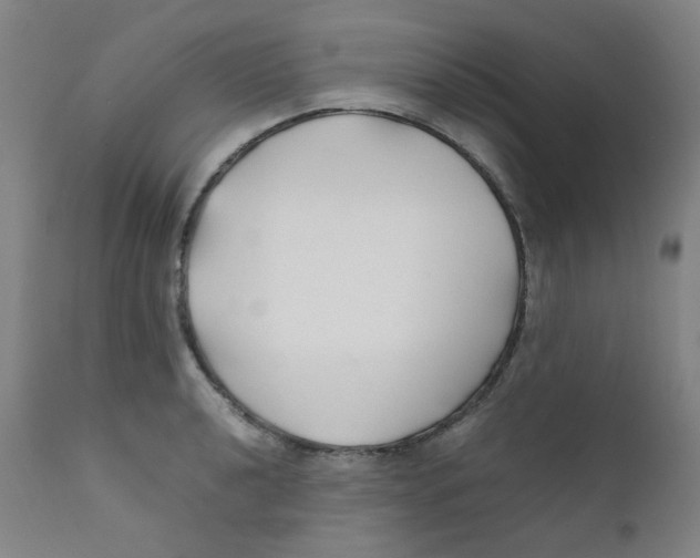 X0000112211040200909041336