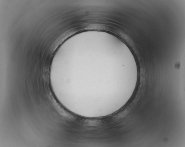 X0000112211041200909041336