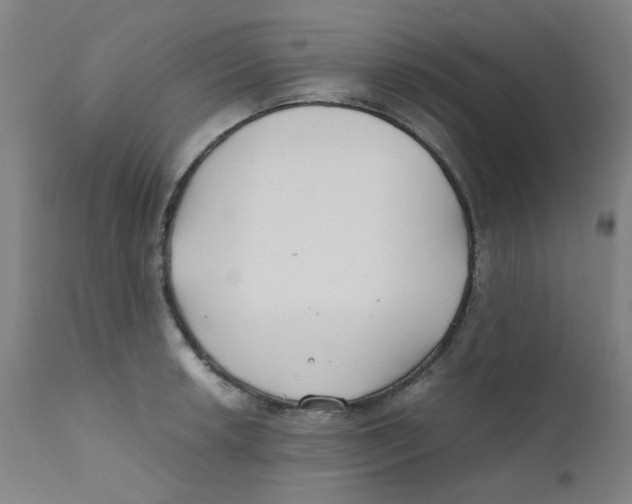 X0000112211042200909041336