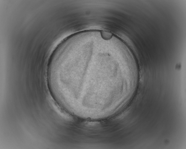 X0000112211043200909041336