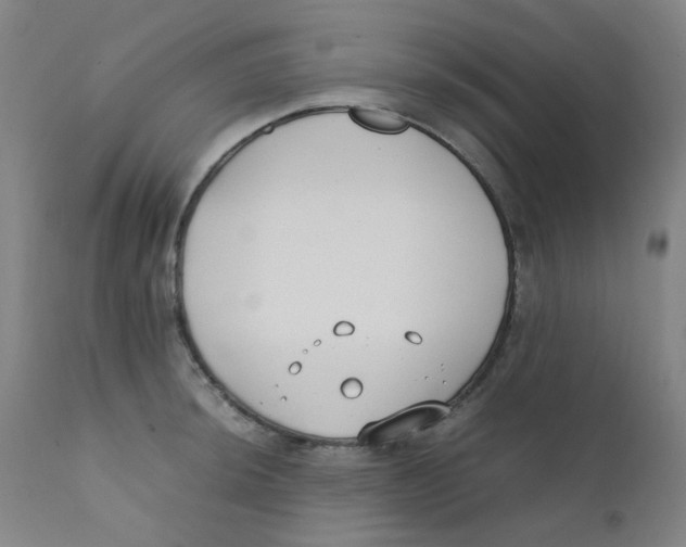 X0000112211044200909041336
