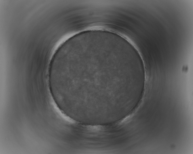 X0000112211045200909041336