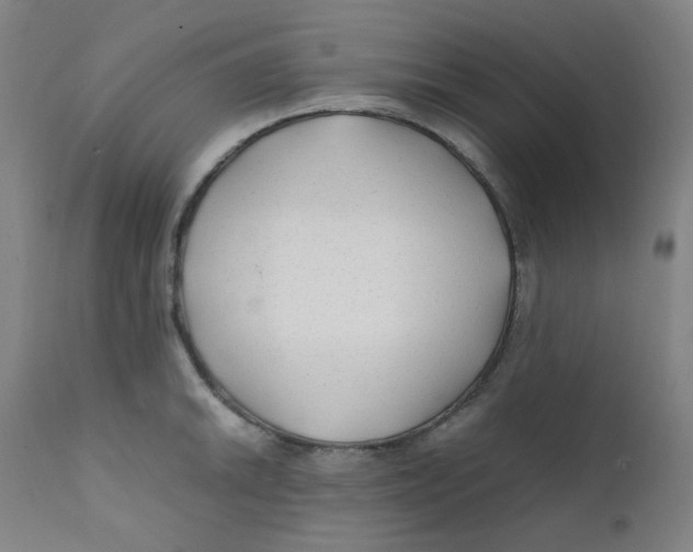 X0000112211046200909041336