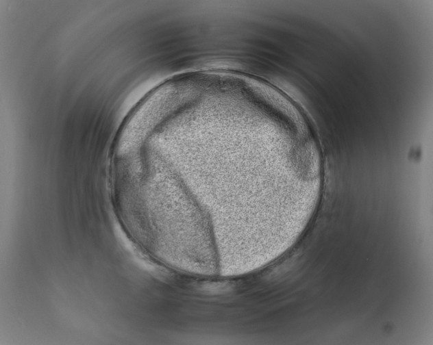X0000112211047200909041336