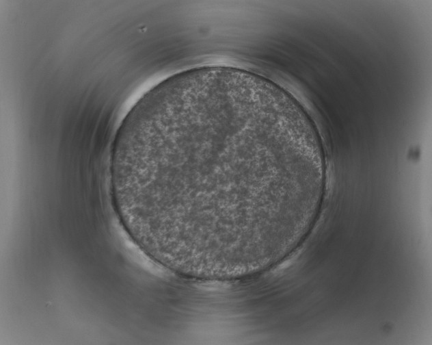 X0000112211048200909041336