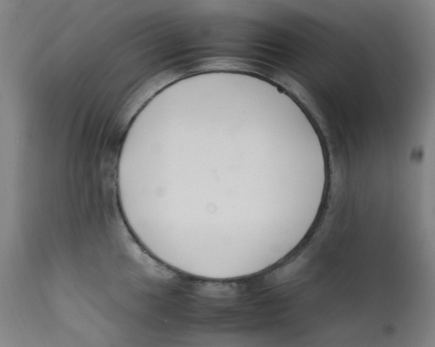 X0000112211049200909041336