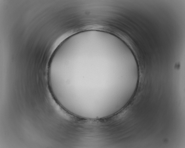 X0000112211050200909041336