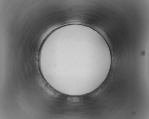 X0000112211051200909041336