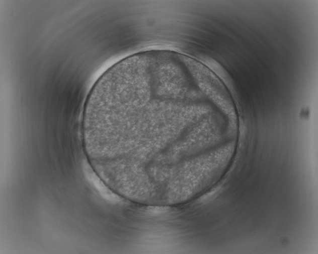X0000112211052200909041336