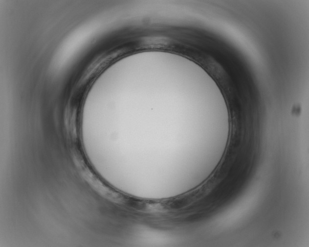 X0000112211054200909041336