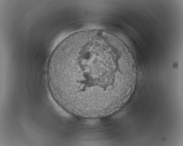 X0000112211055200909041336