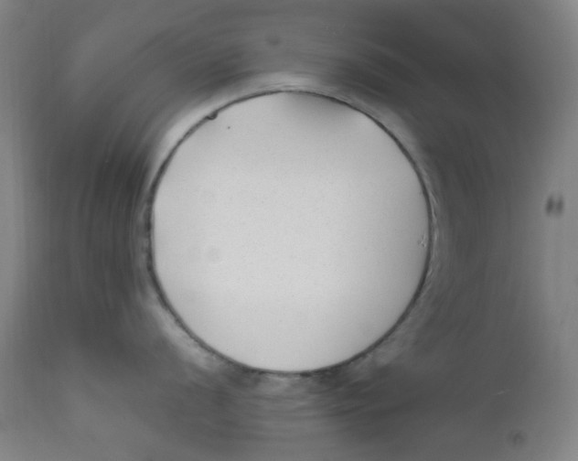 X0000112211056200909041336