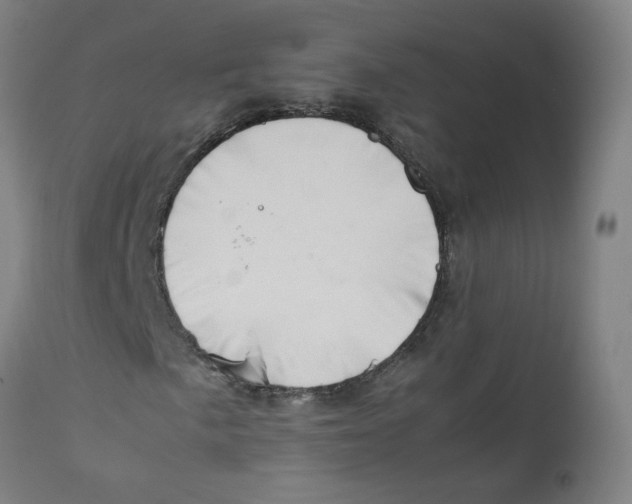 X0000112211057200909041336
