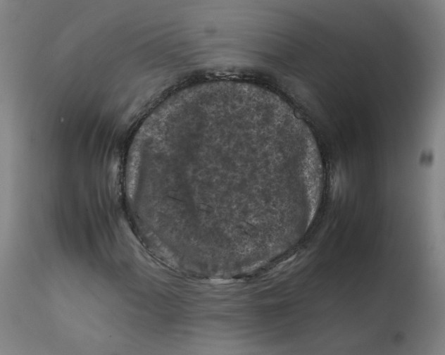 X0000112211060200909041335