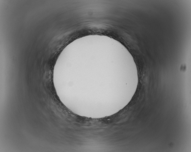 X0000112211061200909041335