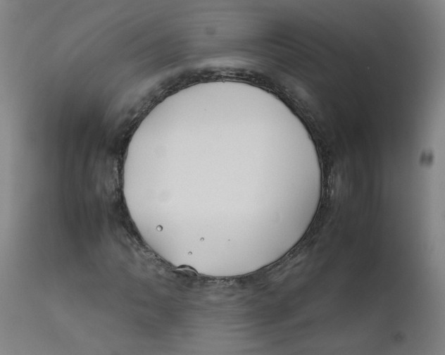 X0000112211062200909041335