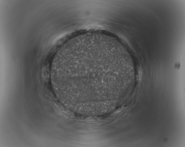 X0000112211063200909041335