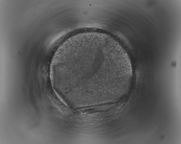 X0000112211064200909041335