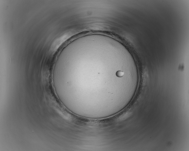 X0000112211065200909041335