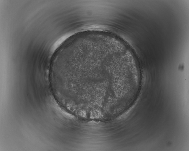 X0000112211066200909041335